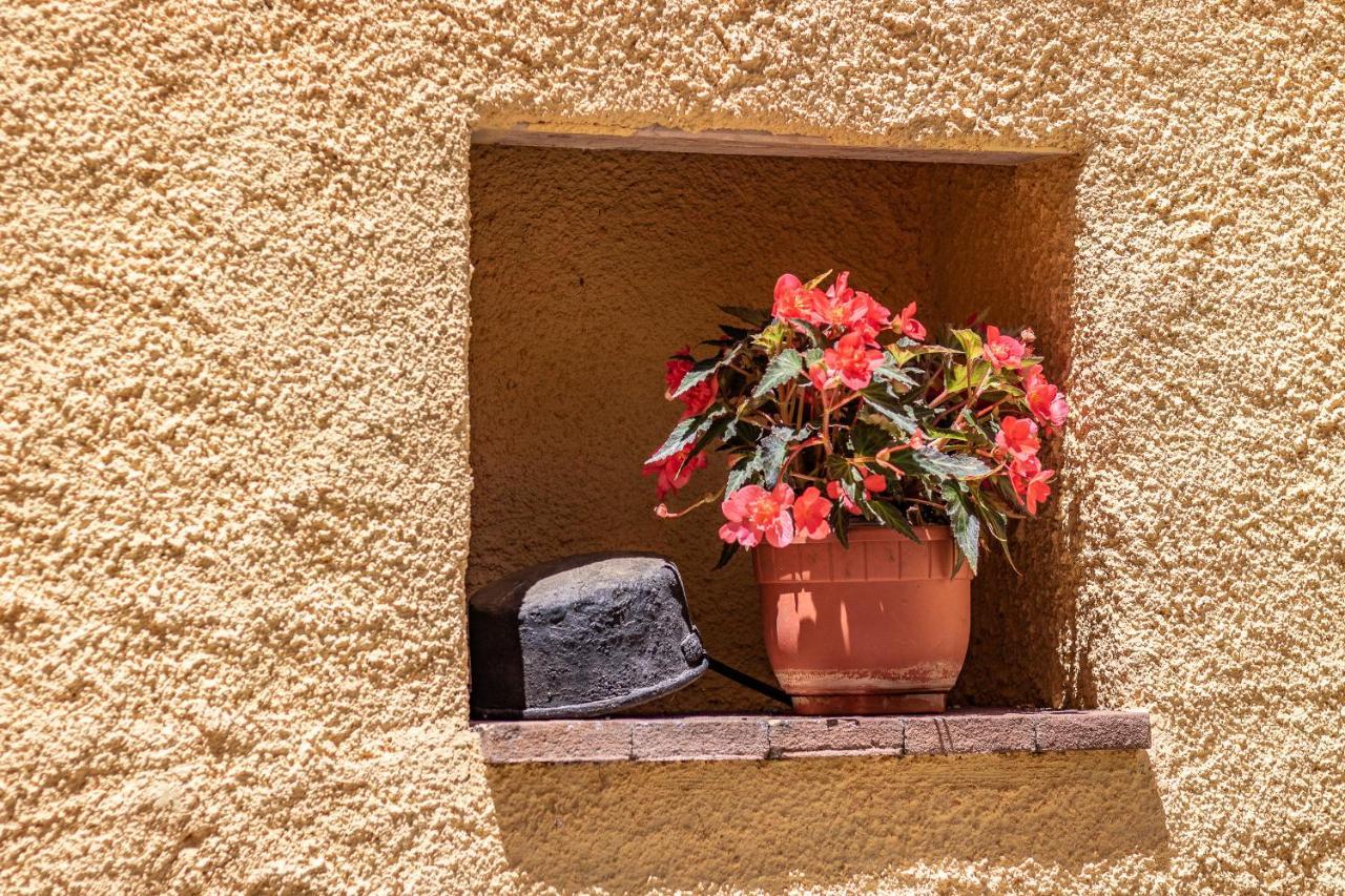 Casa Vacanze 'Zia Lucia' Apartment Sarconi Luaran gambar